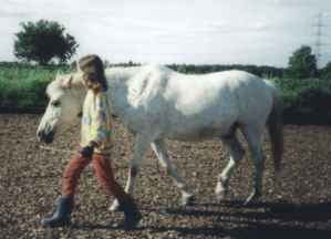 Kind führt ein Pferd über den Reitplatz